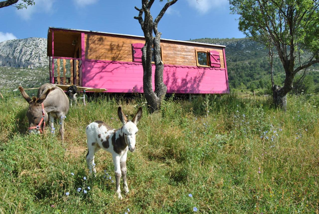 Ferme Saint Pierre Hotel Bargème Eksteriør billede